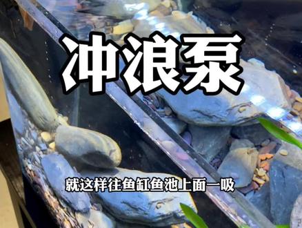 给鱼缸加上一个造浪泵,不仅造景好看,还可以打氧除油膜,让死水秒变活水!