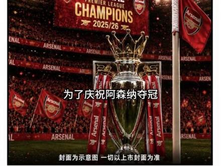 皮雷也曾是当年俱乐部大佬,可惜06年欧冠决赛没机会出力#阿森纳#dou来足球季#世界杯#C罗#穆里尼奥