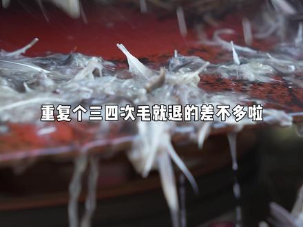 智者不入爱河,铁锅只炖大鹅。老邱馋大鹅好几天啦,今天安排上! #铁锅炖大鹅 #炖大鹅 #新农人计划2026 #十三太保轻松欢聚 #青年创作者成长计划