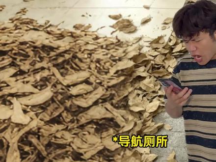 《调查兵团存在的意义》 #调查兵团 #公共厕所 #真实还原 #一点都不亮 #撤退的矮人
