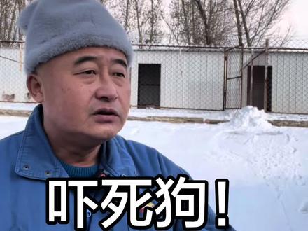 吓唬狗 狗受到惊吓会大小便失常,甚至死亡。#新手养狗#养狗人