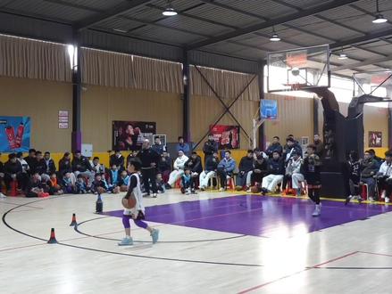 梅花桩训练 孙阳指导|梅花桩训练|小篮球的天花板,包含有梅花桩运球训练 - 运球的力量、球速、节奏、脚步、技巧训练;50种结合运球脚步投篮训练;三威胁面对防守,一步&两步空间的10种过人变化;上篮的多种脚步&欧洲步的终结能力等#孙阳指导 #梅花桩训练 #少儿篮球培训 #小篮球 #决胜时刻