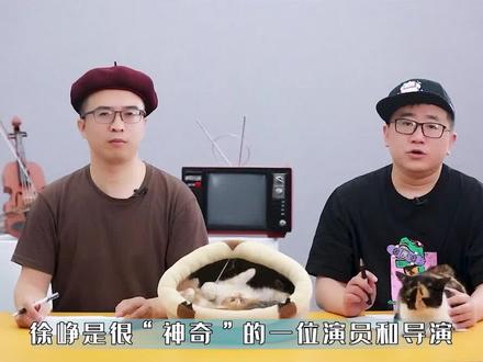 “神奇”电影人和商人徐峥 #徐峥 #陶虹 #秀才侃娱乐