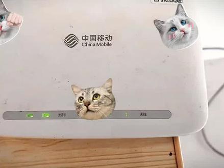 #移动有红人 #宽带安装 教你怎么看光猫毛病都来至光猫猫🐱🐱🐱