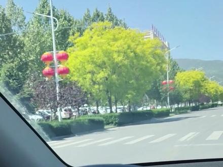 替你趟雷,石家庄工商职业学院