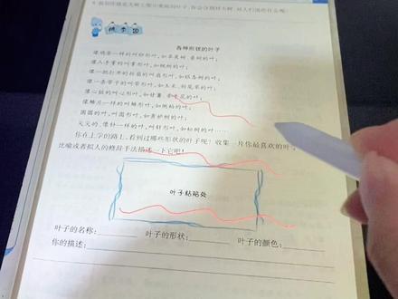 #希沃白板5 #网课 希沃平板和电脑的互连来喽