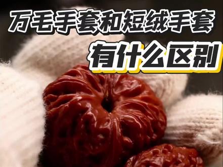 短绒手套和万毛手套有区别吗,是不是智商税#柒核#文玩新手必备常识 #创作者中心 #创作灵感#上热门