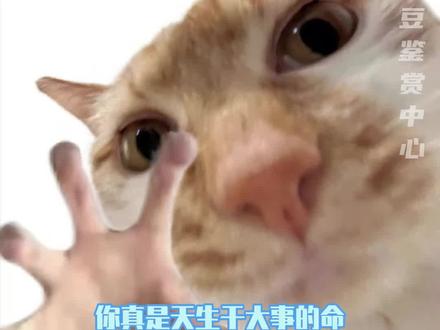 怪不得憋了这么久,李一桐暮色玫影直接拿捏我!#李一桐cos狩猎吸血鬼