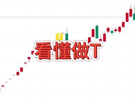 新手快速看懂做T #做t #股票知识