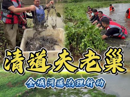 和大表哥在湛江清理百亩清道夫老巢,里面的水葫芦要如何才能怎样快速清除?#便宜好吃的零食#户外#农村生活#新农人计划2026#我要上热门