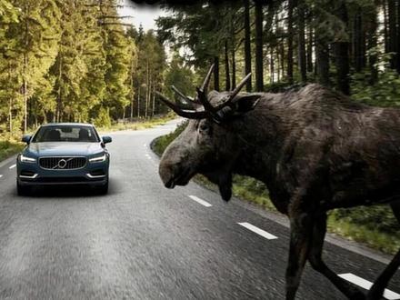 一头“麋鹿”,改写汽车安全的百年轨迹 #麋鹿测试