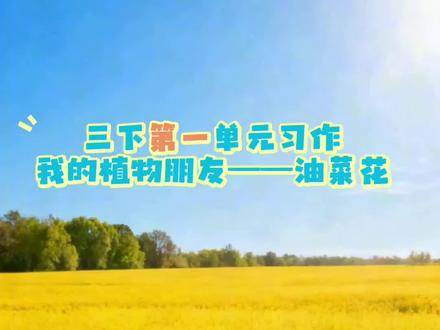 三下第一单元习作 我的植物朋友#油菜花 #作文素材 #学习 #寒假学习资料 #原创视频
