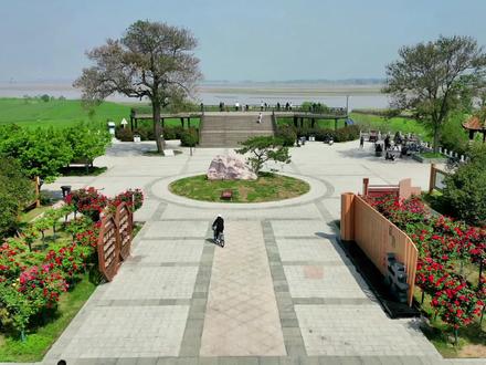国道G230新开黄河大桥,已完成桩基过半,将于2024年底建成通车#一镜到底 #新开黄河大桥 @爱英语爱航拍