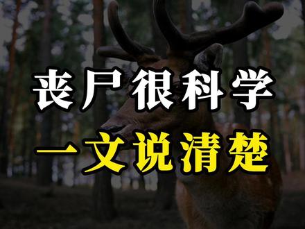致死率100%号称僵尸病毒的朊病毒难以灭杀!丧尸风险很科学。 一张“请把头丢进垃圾箱”的诡异照片,背后竟牵扯出肆虐北美的“僵尸鹿”CWD。它们眼神空洞,步履蹒跚,如同行尸走肉……这仅仅是动物界的悲剧,还是对人类的终极警告?
本期视频,我们将从“僵尸鹿”出发,开启一场跨越数十年的恐怖溯源之旅:
探寻巴布亚新几内亚的食人部落,揭开“库鲁病”与同类相食的黑暗关联。
回到80年代的英国,见证一场由“疯牛病”引发的现代食品安全噩梦。
深入分子层面,了解比病毒和细菌更顽固的“朊病毒”,是如何将大脑变成“海绵”的。
最令人不安的是,这种无法被常规手段消灭的病原体,不仅存在于动物体内,甚至可能早已在数万年前通过我们祖先的黑暗习俗,对人类的基因进行过一次残酷的筛选。如今,它正在演化出新的形态,我们基因中最后的防线还可靠吗?