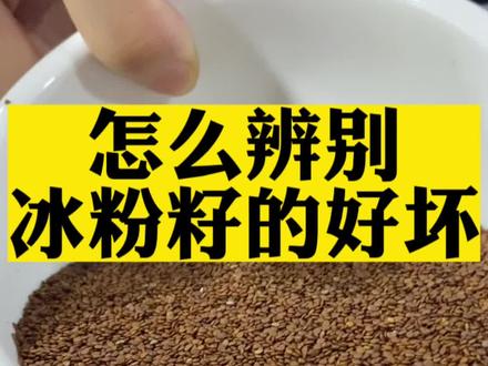 你用的是哪种样子的冰粉籽呢?怎么辨别冰粉的好坏,你真的会挑选吗?#实体店教学所有技术包教包会 #贵州特色美食 #手工冰粉