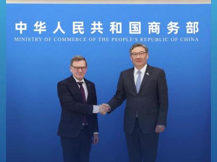 王文涛部长会见德国外长瓦德富尔