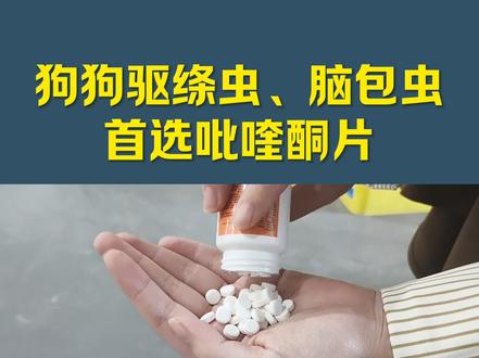 狗狗驱绦虫、脑包虫。首选吡喹酮片。#养狗经验分享 #肉狗养殖 #养狗人 #宠物狗 #狗狗