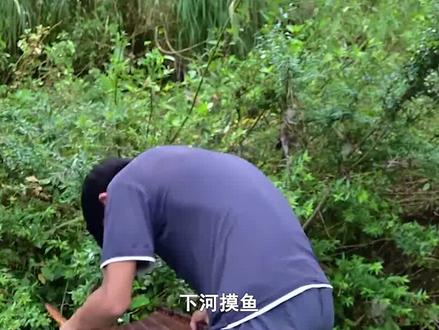 周周靠拍摄乡村生活一年涨粉千万 #娱乐聚焦 #娱乐新星夏日打卡 #念乡人周周