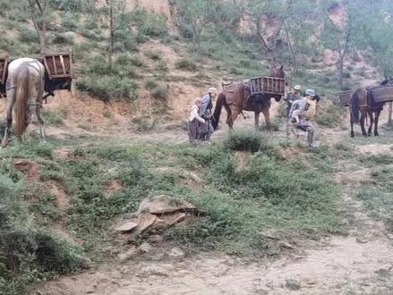 带孩子拍戏《马背上的摇篮》