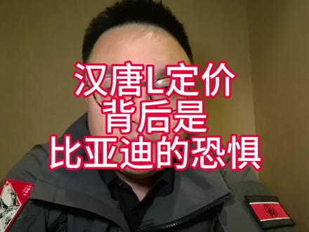 汉唐L的背后,是比亚迪的恐惧 #比亚迪 #阿维塔12日记