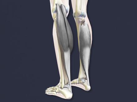 小腿肌肉反复拉伤或紧绷?重视这三个原因