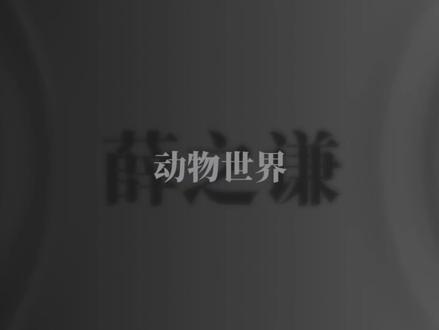 薛之谦超长合集#听歌 #抖音推广 #薛之谦