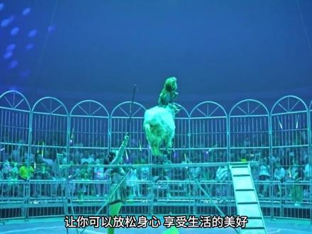 9月23日——10月6日大型马戏美食嘉年华空降绩溪糸巷,带上您的家人朋友,一起来绩溪糸巷感受一场视觉与味觉的双重震撼体验!#绩溪糸巷 #马戏团 #燃爆全场 #杂技 #玩的就是心跳