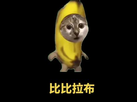 我的刀盾比比拉布纯享版#搞笑 #猫meme #抽象