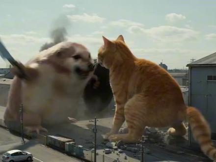 #小云雀AI #我的刀盾 #耄耋
盾狗揍扁了耄耋!