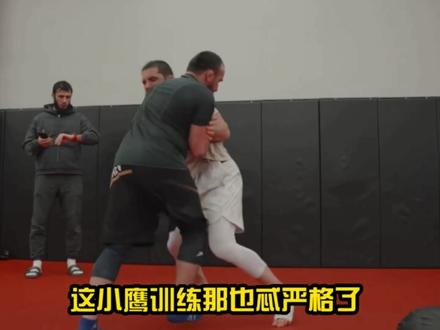 大力鼠与鹰队活动#ufc#综合格斗#大力鼠#马哈切夫#小鹰