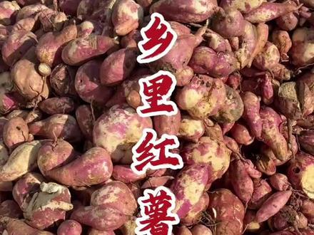 好食材乡里造,每一口都是大自然的味道!