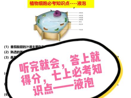 听完就会,答上必得分,液泡@是非常喜欢考的一个知识点#热点创作 #学霸 #每天学习一点点