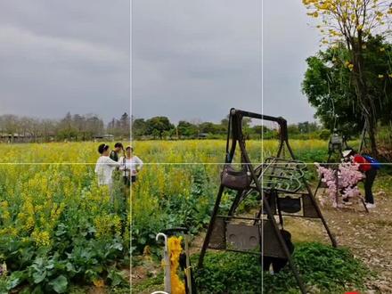 油菜花怎么拍📸分享油菜花5个拍照小技巧 #拍花技巧 #青年创作者成长计划 #和春天的花花合个影 #是时候去拍油菜花海了 #春天就要colorwalk