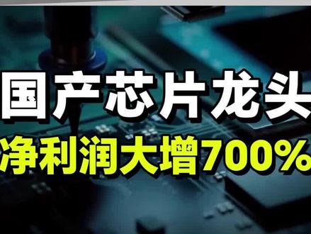 国产芯片第一龙头,净利润大增700%,完全没有对手!#财经