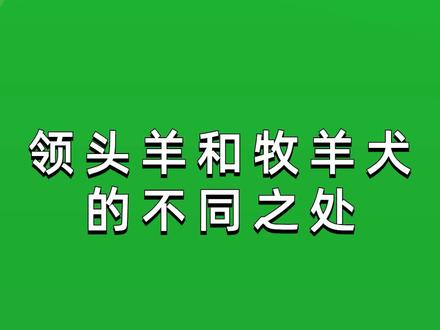 #管理思维 #领导智慧 领头羊VS牧羊犬的不同之处是什么?从中可学习到哪些知识?