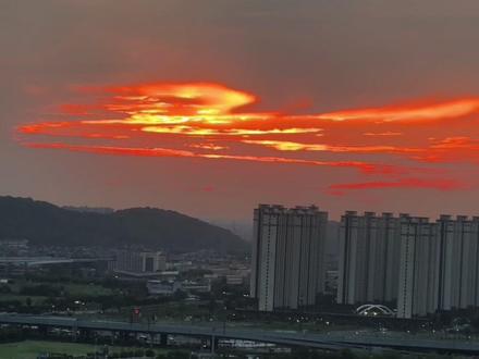 新36招之第5招:构思#语文 #写作技巧 #中小学教育