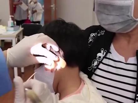 日本科学家在猪体内注射人基因,半人半猪诞生了,看完毛骨悚然