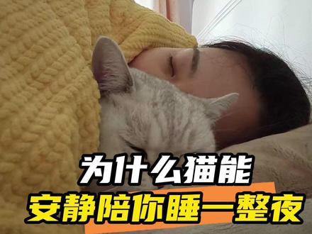 原来猫咪在你睡着后完全魔丸来的#娱乐评论大赏 #猫猫 #可爱