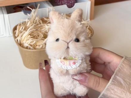 兔兔打包📦 #扭扭棒 #手作 #手工 #扭扭棒兔子 #手作diy