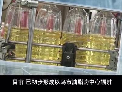 新疆建设兵团第五师双河市宣传片