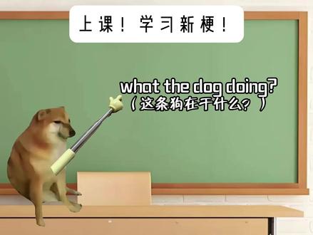 ”我的刀盾“#猫meme #猫meme小剧场