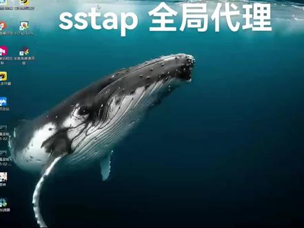 sstap 全局代理教程