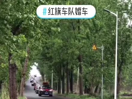 婚礼车队是找朋友还是找专业车队:有以下4点区别 #场景布置 #今日婚车系列 #婚庆车队 #婚车花艺 #租车找我