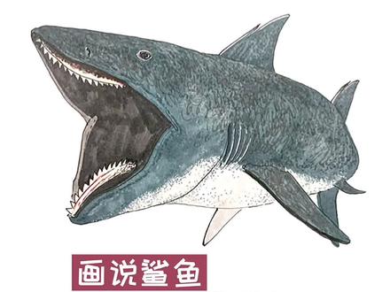 #我要上热门 画说鲨鱼,剪齿鲨不是鲨鱼?#学浪计划 #我和妈妈学科学 #抖青有文化 #手绘 #画画