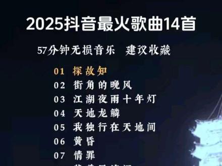 2025抖音最火歌曲14首 #抖音热点记忆2025 #抖音热歌推荐🔥 #2025我的年度之歌 #音乐种草计划 #音乐分享