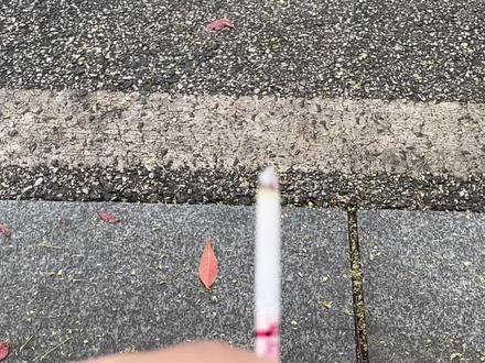 天天向上价格真是五花八门啊
#白沙天天向上