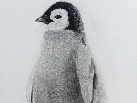 萌萌哒小企鹅来啦。#画画 #手绘 #零基础学画画 #一起学画画 #想画就画