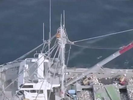 日本海产品恢复对华出口,6吨北海道扇贝已在路上! 600公斤日本青森县产的盐渍海参也将出发,核污水排放后的日本海鲜你还敢吃吗?#零基础看懂全球 #硬核深度计划 #瓜子二手车