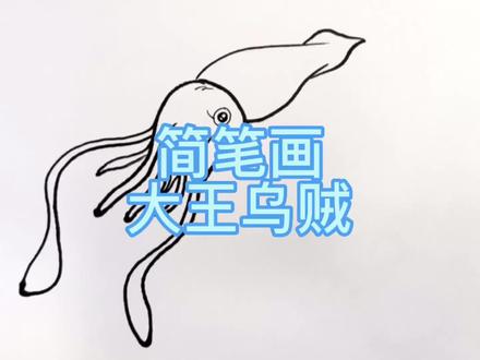 简笔画 大王乌贼 章鱼表亲 零基础也能学会。海洋生物 海底世界 #儿童简笔画 #创意简笔画 #简笔画教程 #海洋奇妙之旅 #海底世界简笔画