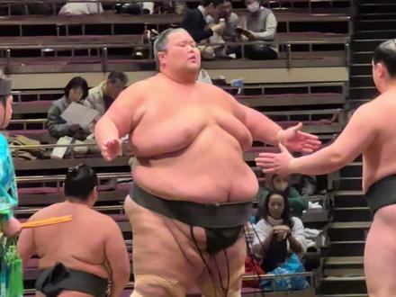 日本最重相扑选手 出羽之城 #日本 #相扑 #日本文化 #vlog